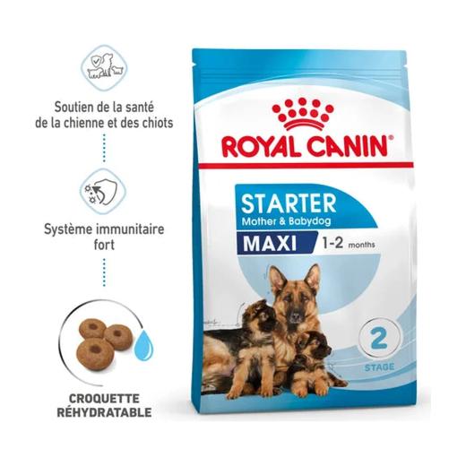 Royal Canin Maxi Starter Mother & Babydog croquettes pour chienne et chiots 15 kg