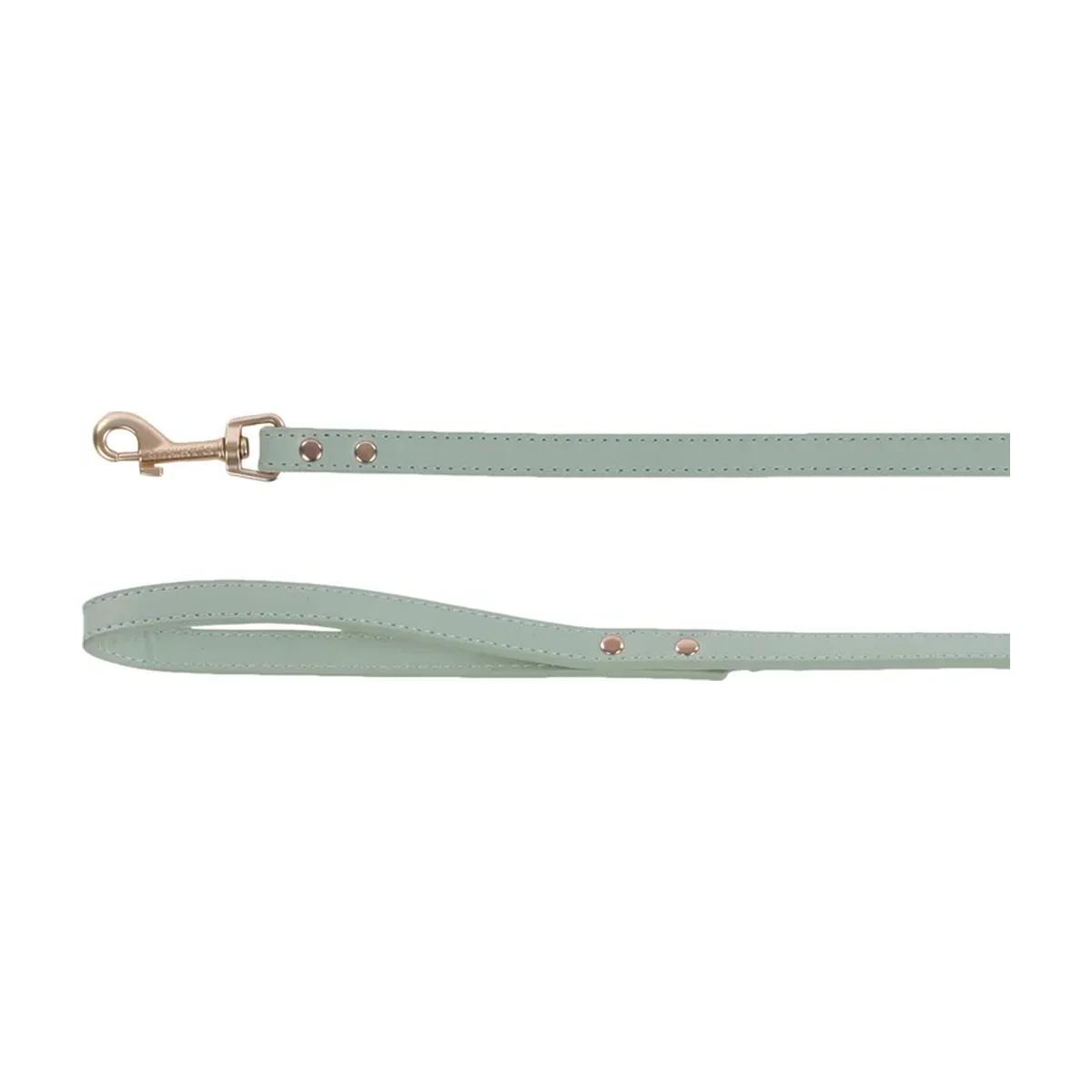 Flamingo Laisse Nela vert menthe pour chien 130 cm, Flamingo à Casablanca