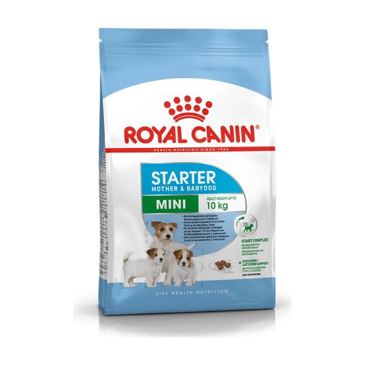 Royal Canin Mini Starter Mother & Babydog Croquettes Chien 1 kg