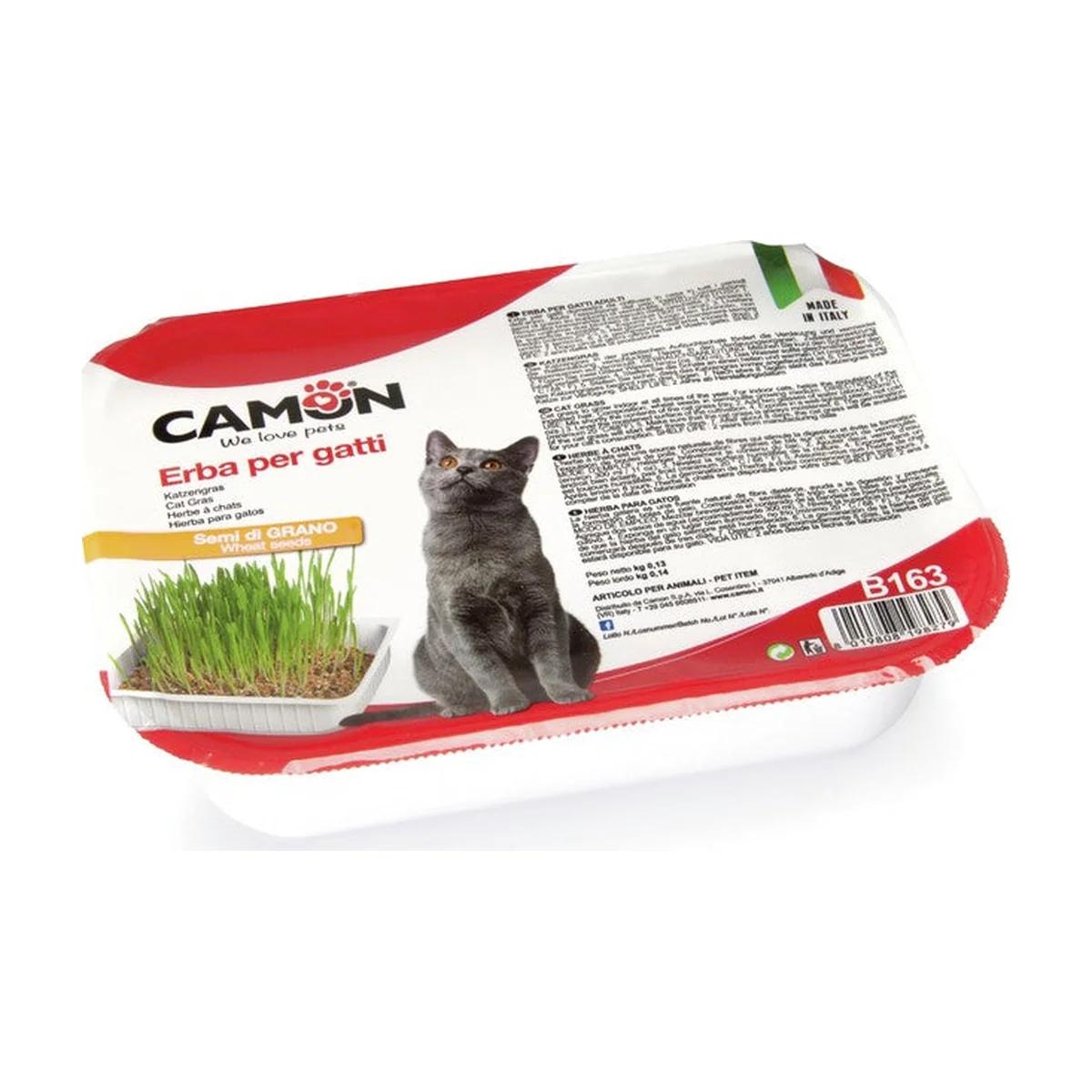 Camon Herbe à chat aux graines de blé à cultiver 130 g