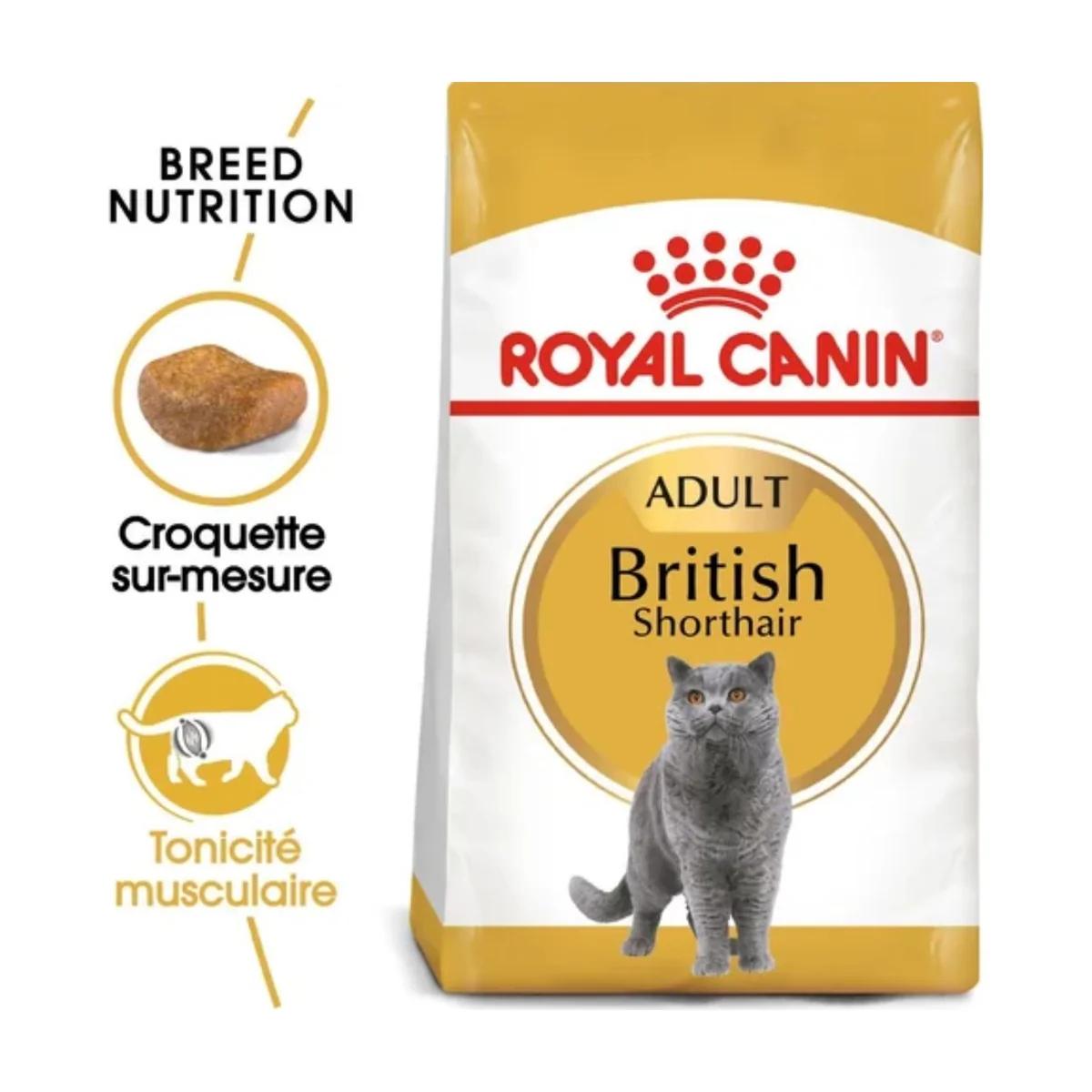 Royal Canin British Shorthair Adult – Croquettes pour Chat Adulte – 2 kg