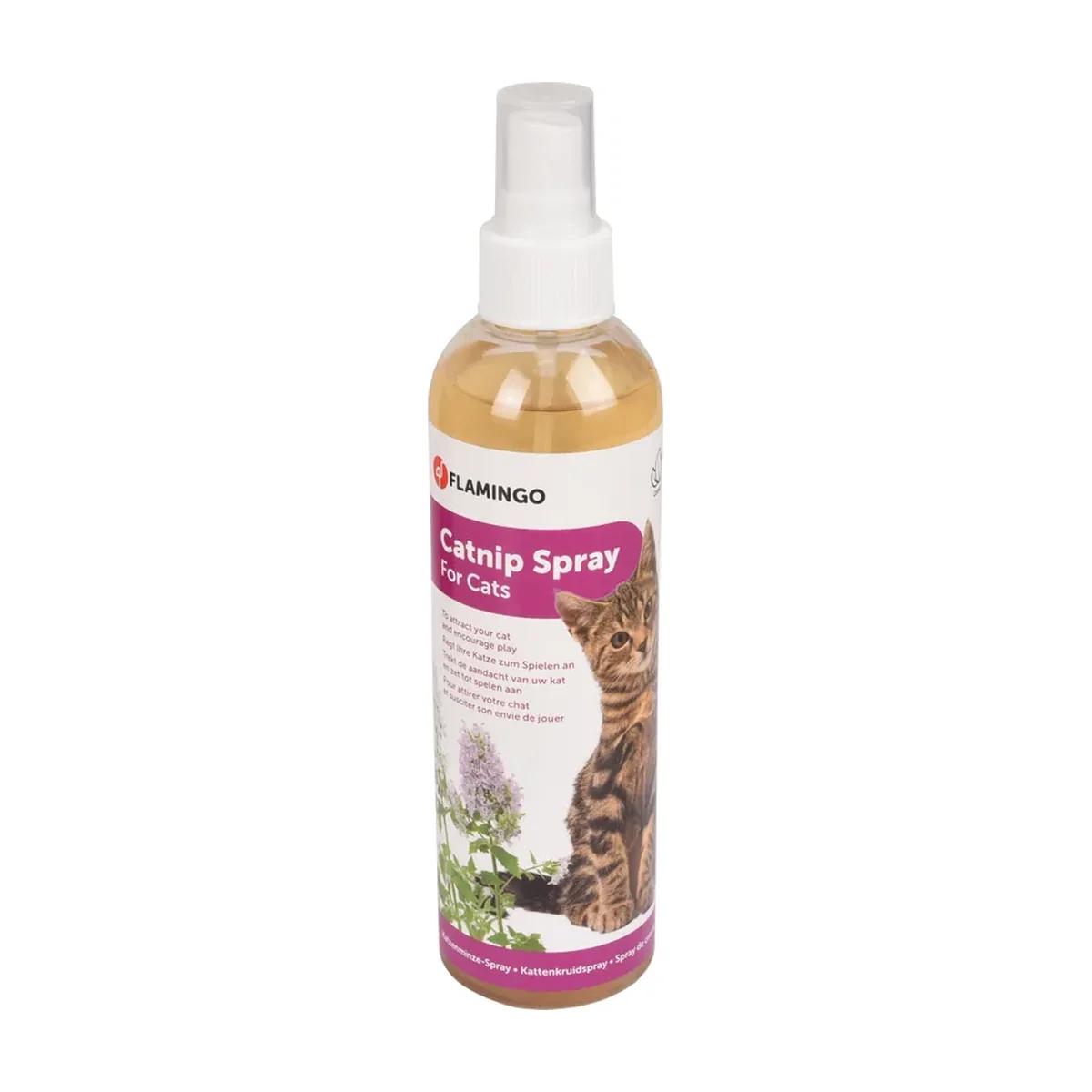 Catnip Spray à l'herbe à chat 250 ml