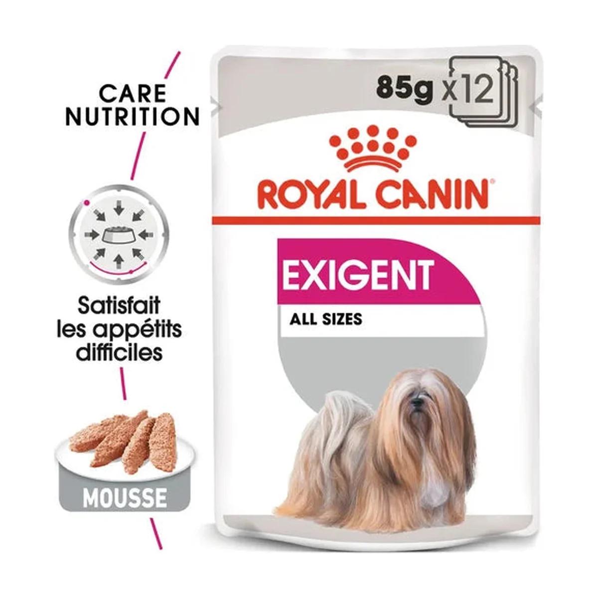 Royal Canin Exigent mousse pour chien adulte 85 g