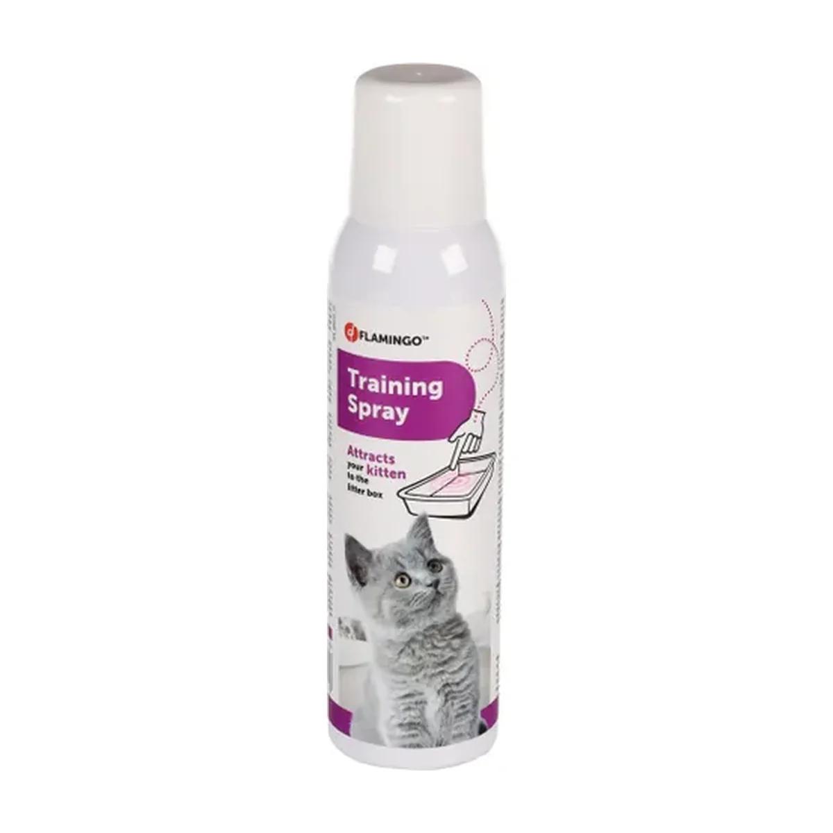 Liquide d'entraînement pour chaton