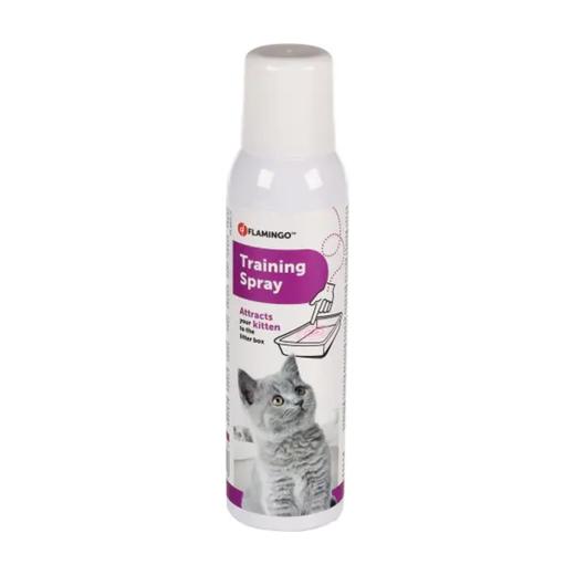 Liquide d'entraînement pour chaton