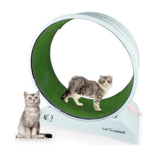 Pawise Jouet pour chat roue d'exercice silencieuse, Pawise à Casablanca