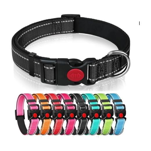 Collier Réfléchissant pour Chien avec Rembourrage en Néoprène et Verrouillage de Sécurité
