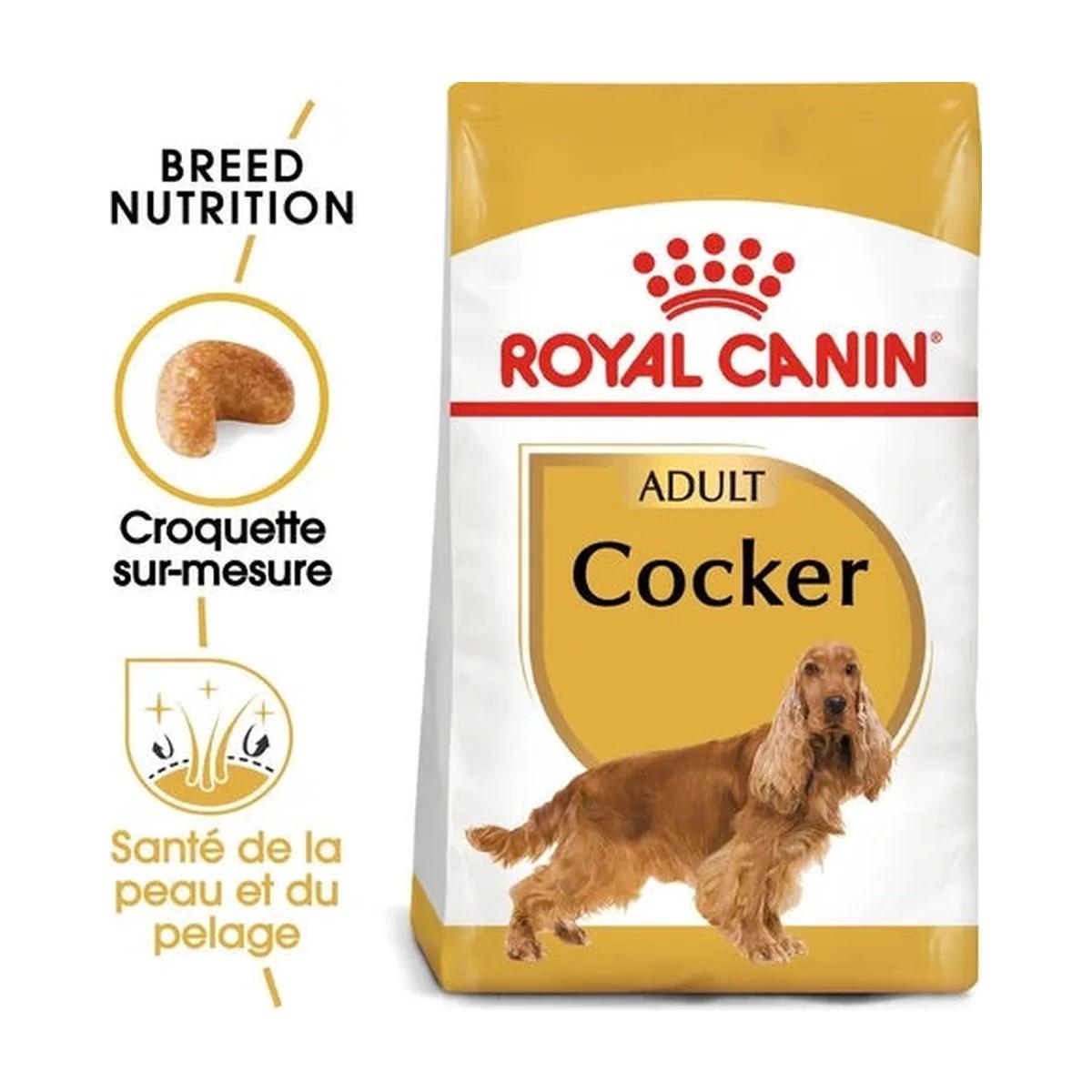 Royal Canin Cocker Adult croquettes pour chien 3 kg