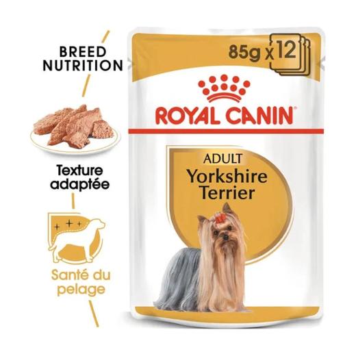 Royal Canin Yorkshire Terrier mousse pour chien adulte 85 g, Royal Canin à Casablanca