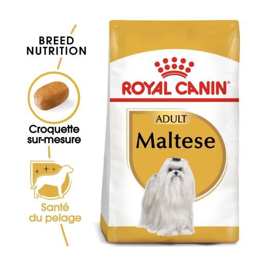 Royal Canin Maltese Adult croquettes pour chien adulte de race bichon maltais 1,5 kg, Royal Canin à Casablanca