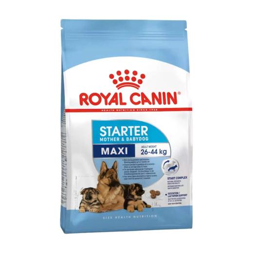 Royal Canin Maxi Starter Mother & Babydog Croquettes Chien 4 kg, Royal Canin à Casablanca