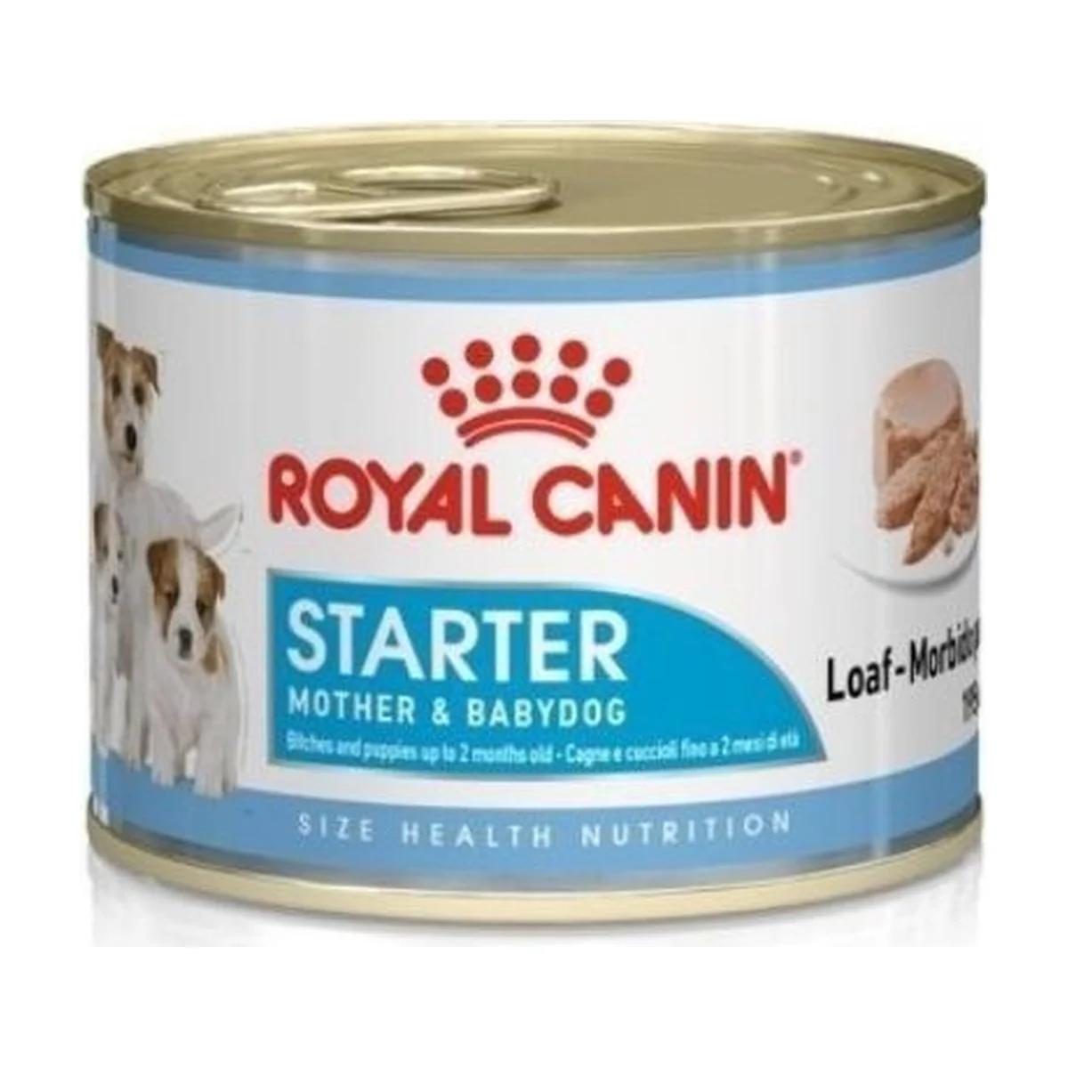 Royal Canin Starter Mother & Babydog Mousse Chien 195 g
