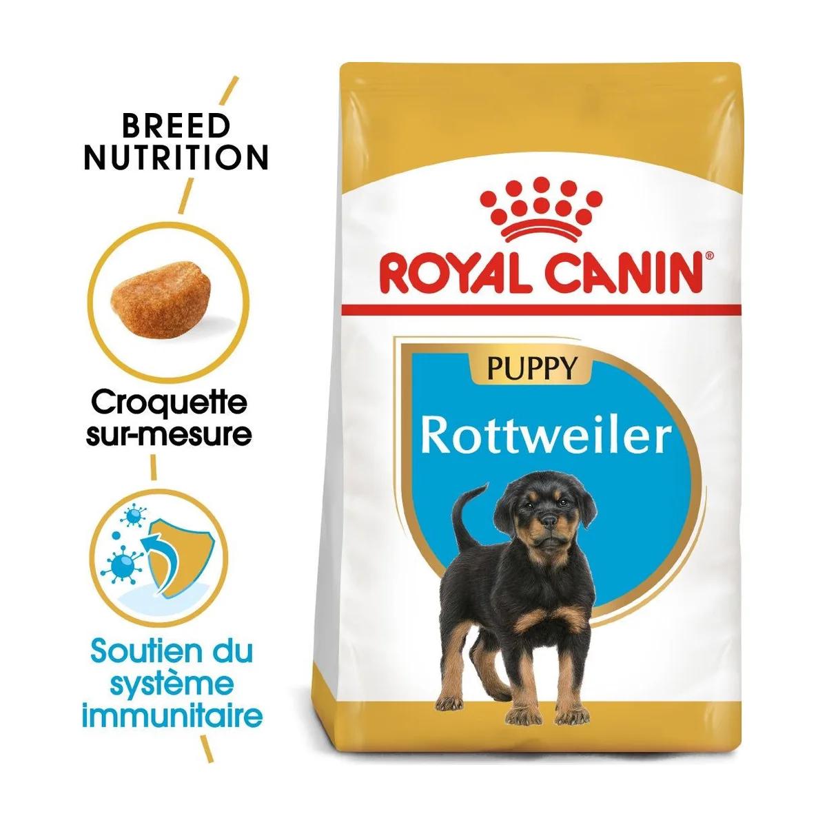 Royal Canin Rottweiler Chiot croquettes pour chiot 12 kg