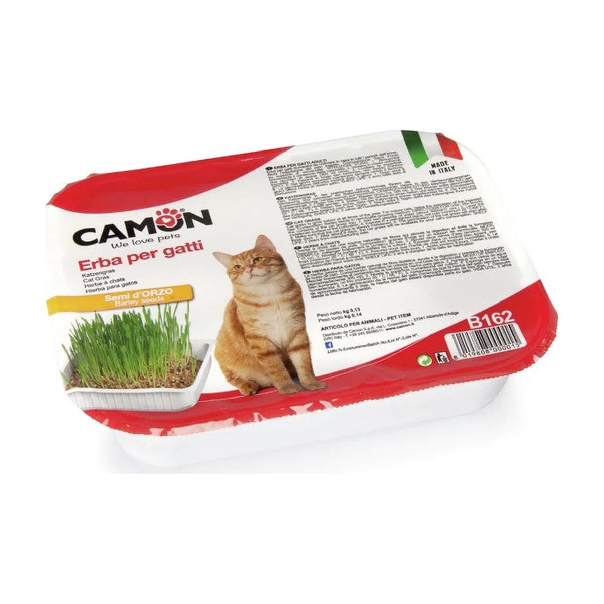 Herbe à chat aux graines d'orge à cultiver 130 g