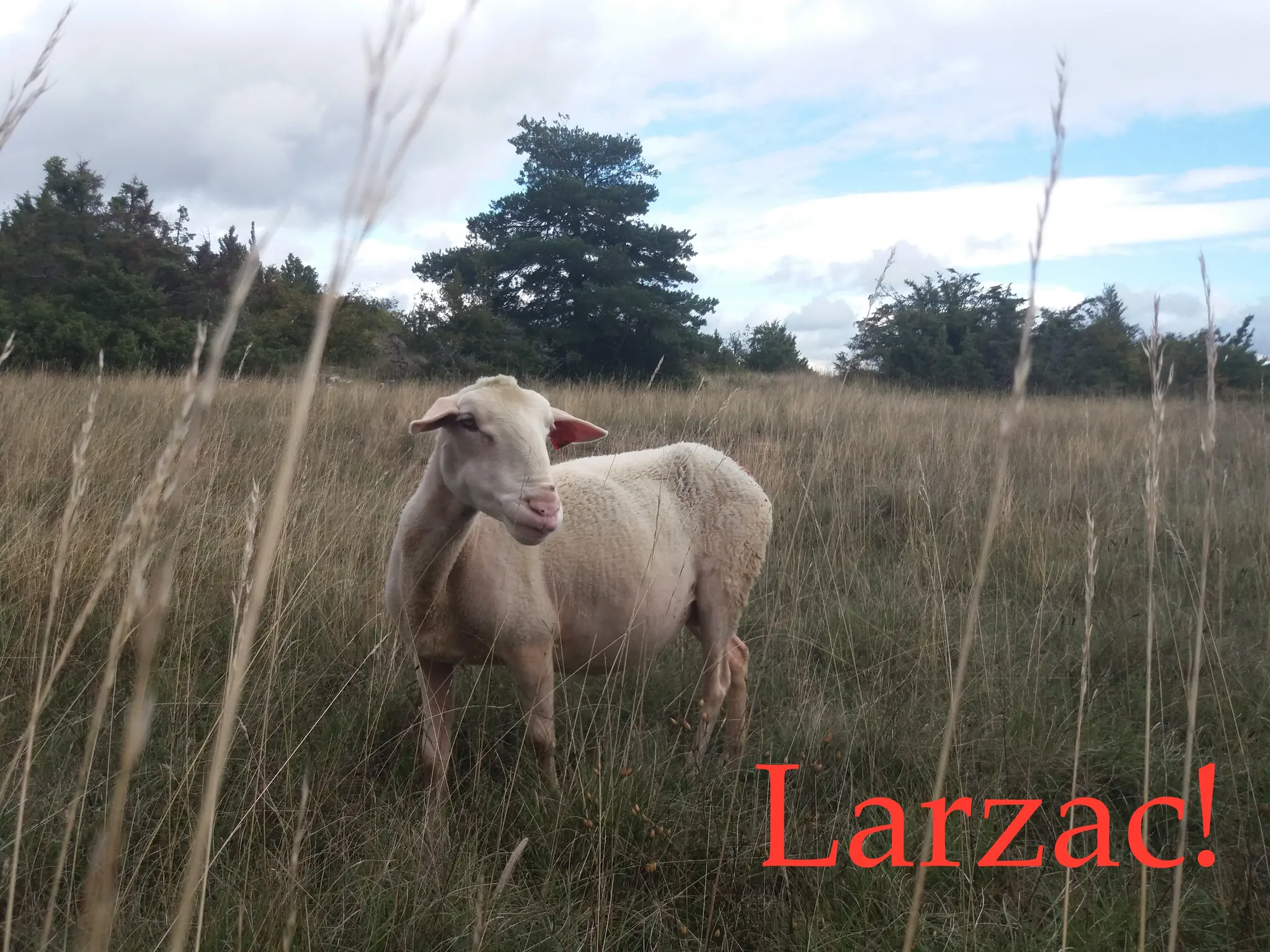 Larzac !