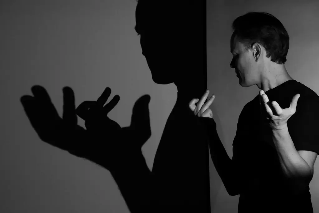 L’ombre au piano