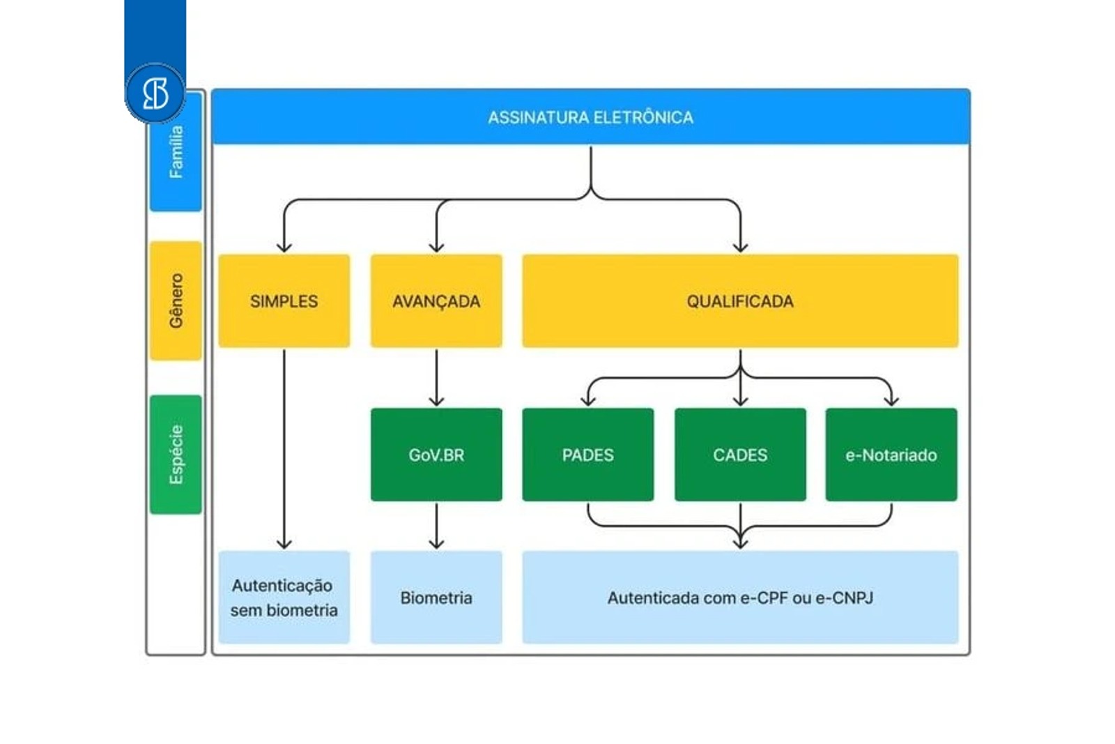 Fluxograma da assinatura eletrônica em simples, avançada e qualificada, com GoV.BR, PADES, CADES e e-Notariado
