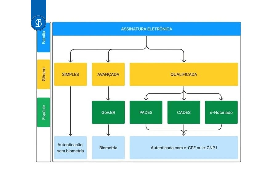 Fluxograma da assinatura eletrônica em simples, avançada e qualificada, com GoV.BR, PADES, CADES e e-Notariado