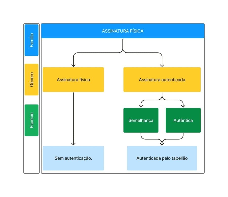 Fluxograma de Assinatura Física e Validade jurídica.