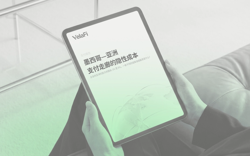 Cover The Hidden Cost of Mexico–Asia B2B Payments | VelaFi