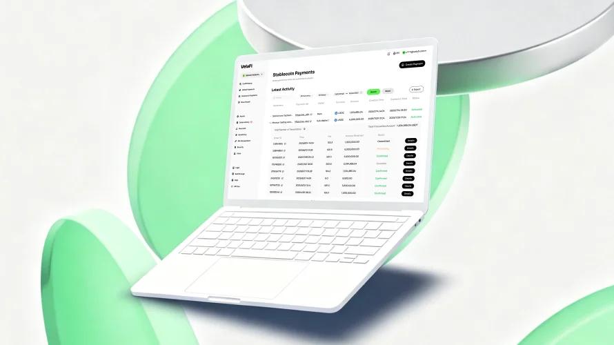 Stablecoin payment Cover