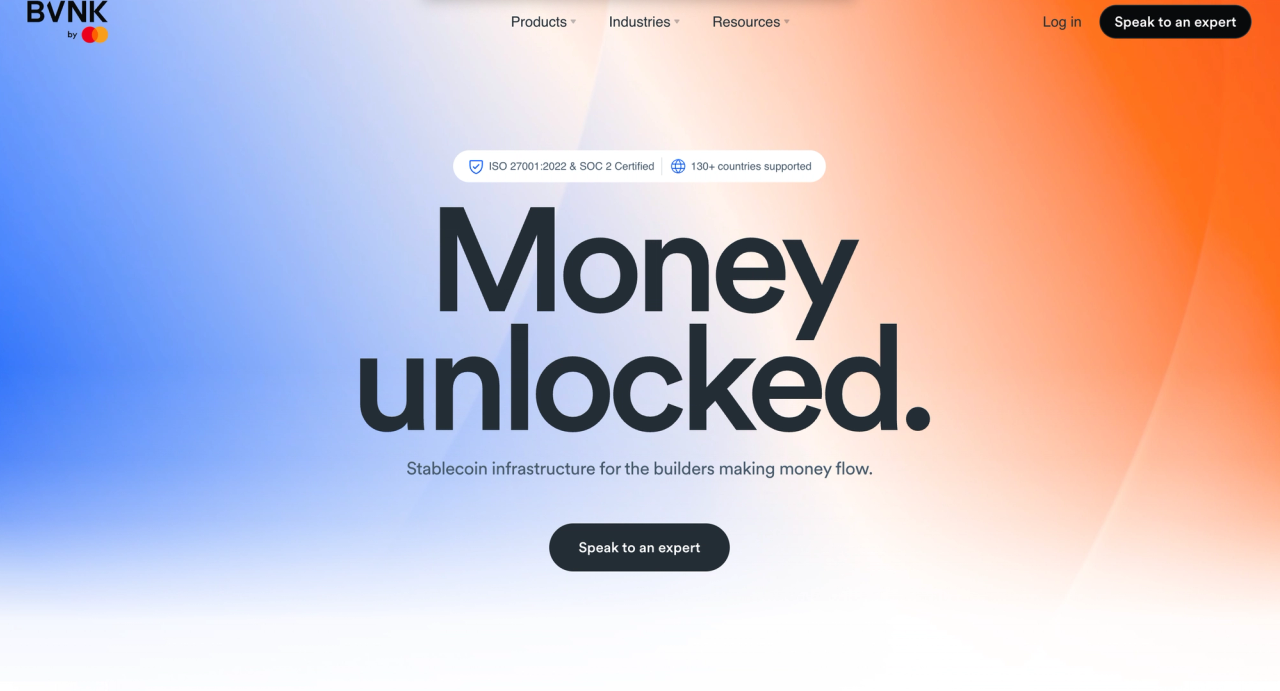 BVNK homepage