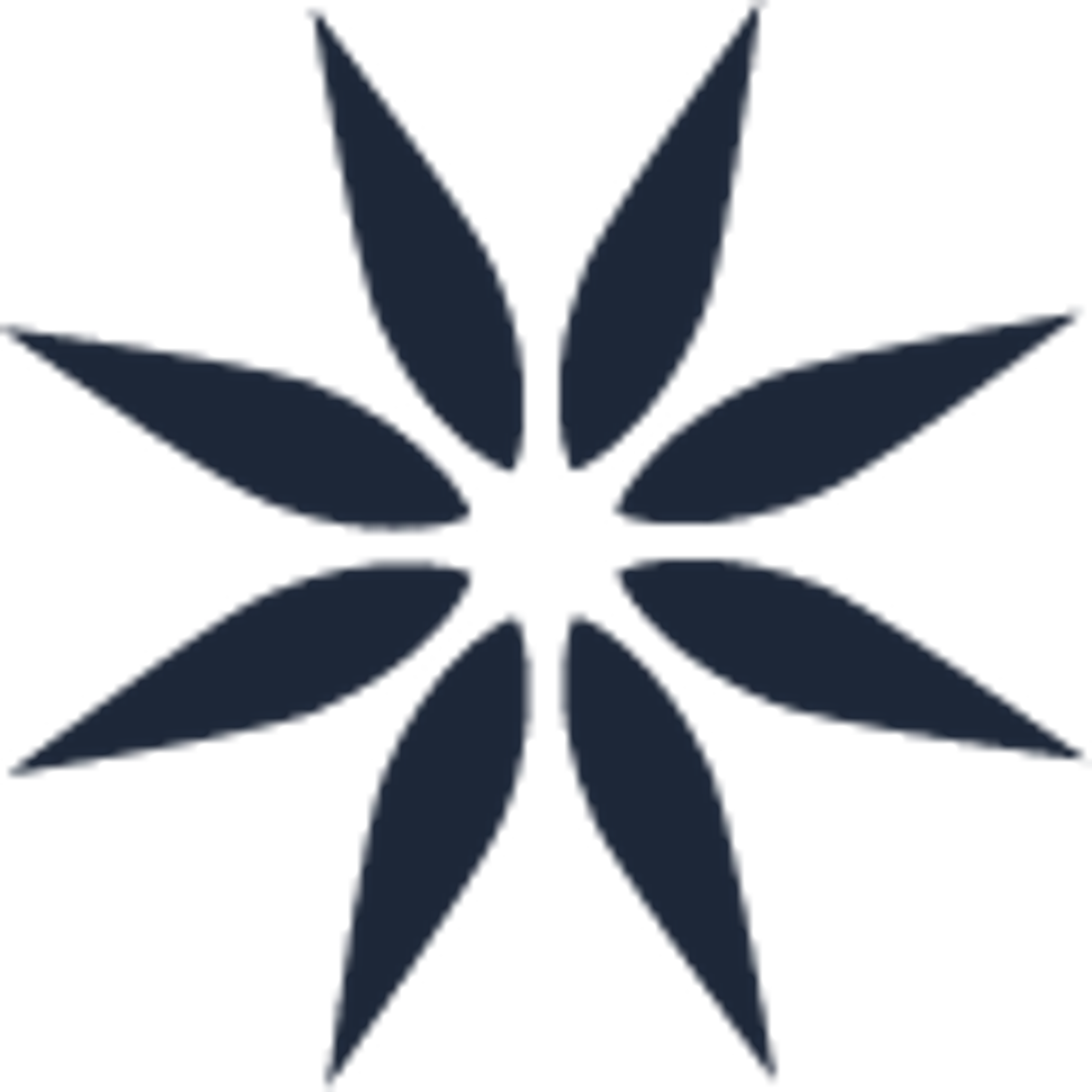 floral star