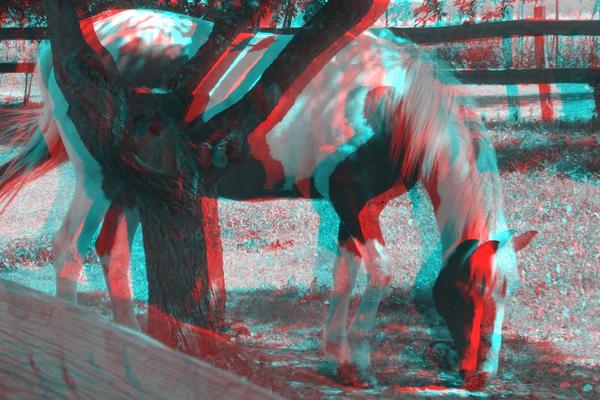 The Rise of Digital Art