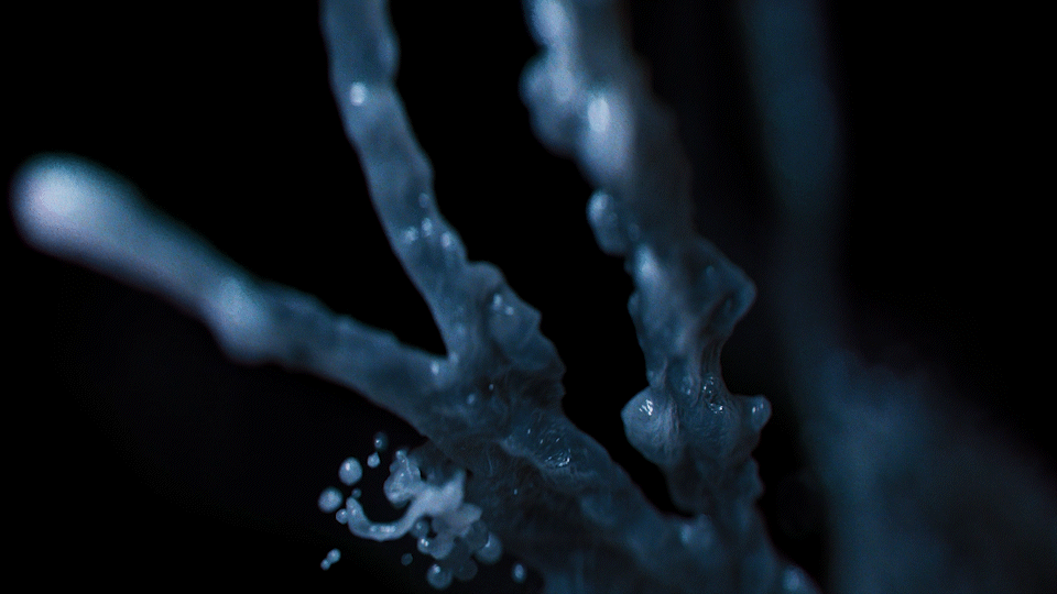 FX Alien: Earth, image 6