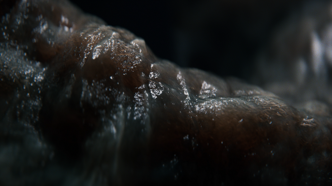 FX Alien: Earth, image 10