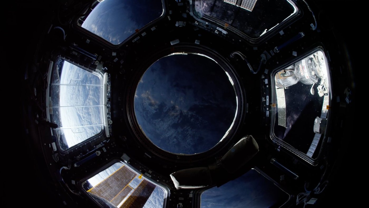 TEDx Sydney 2019 - Main Titles, image 53