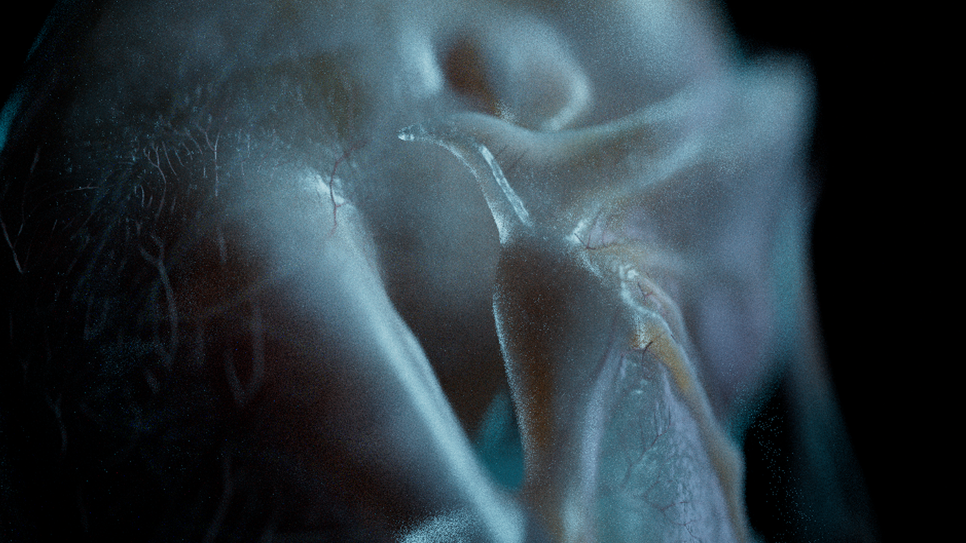FX Alien: Earth, image 23