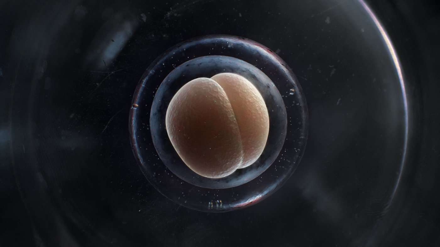 TEDx Sydney 2019 - Main Titles, image 55