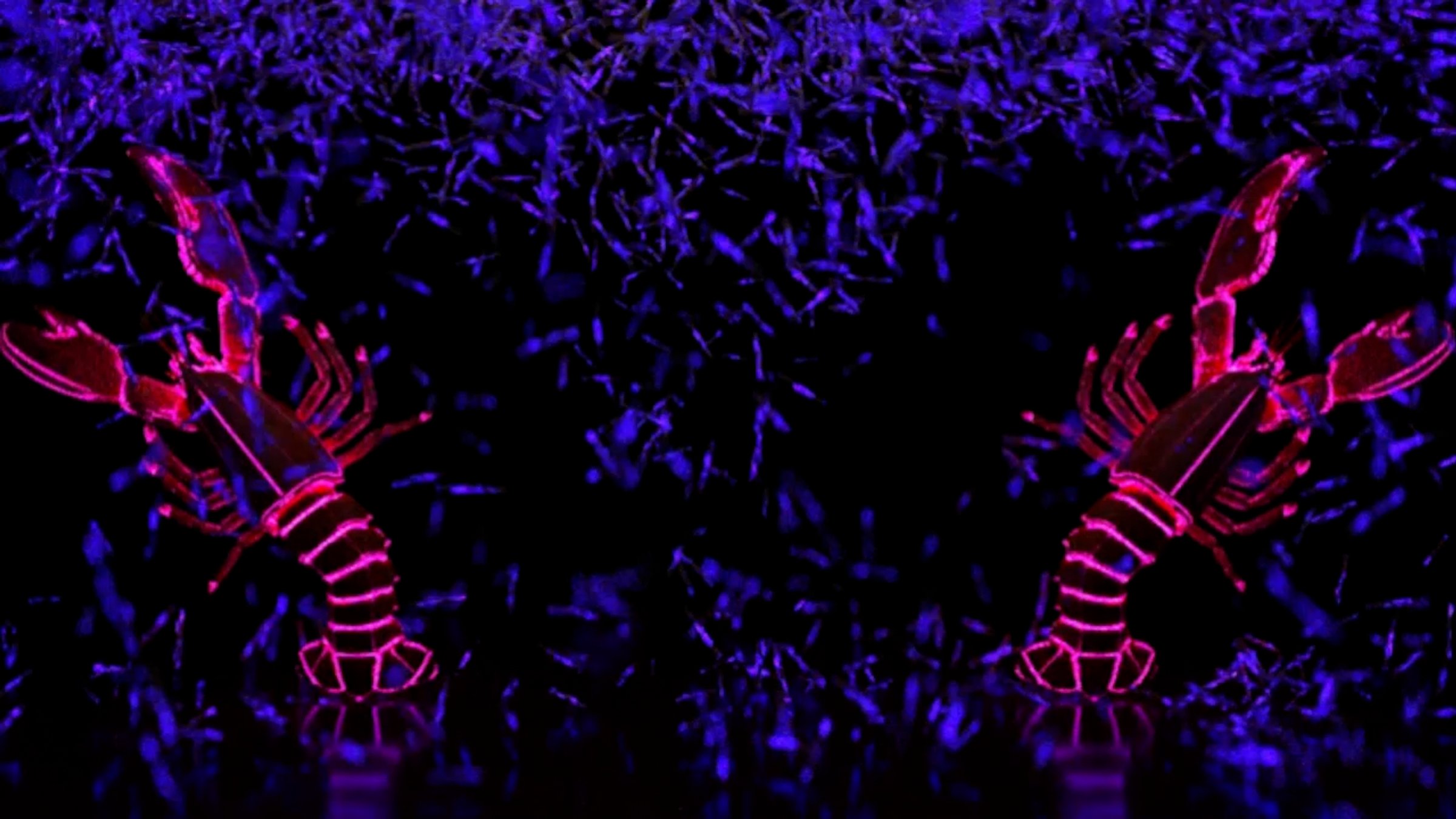 Justin Bieber: Justice Tour, image 22