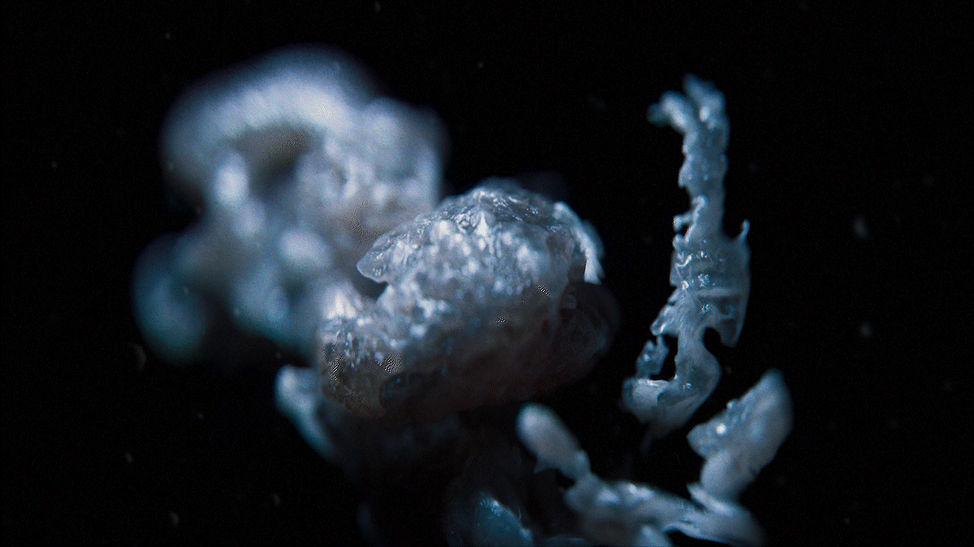FX Alien: Earth, image 7