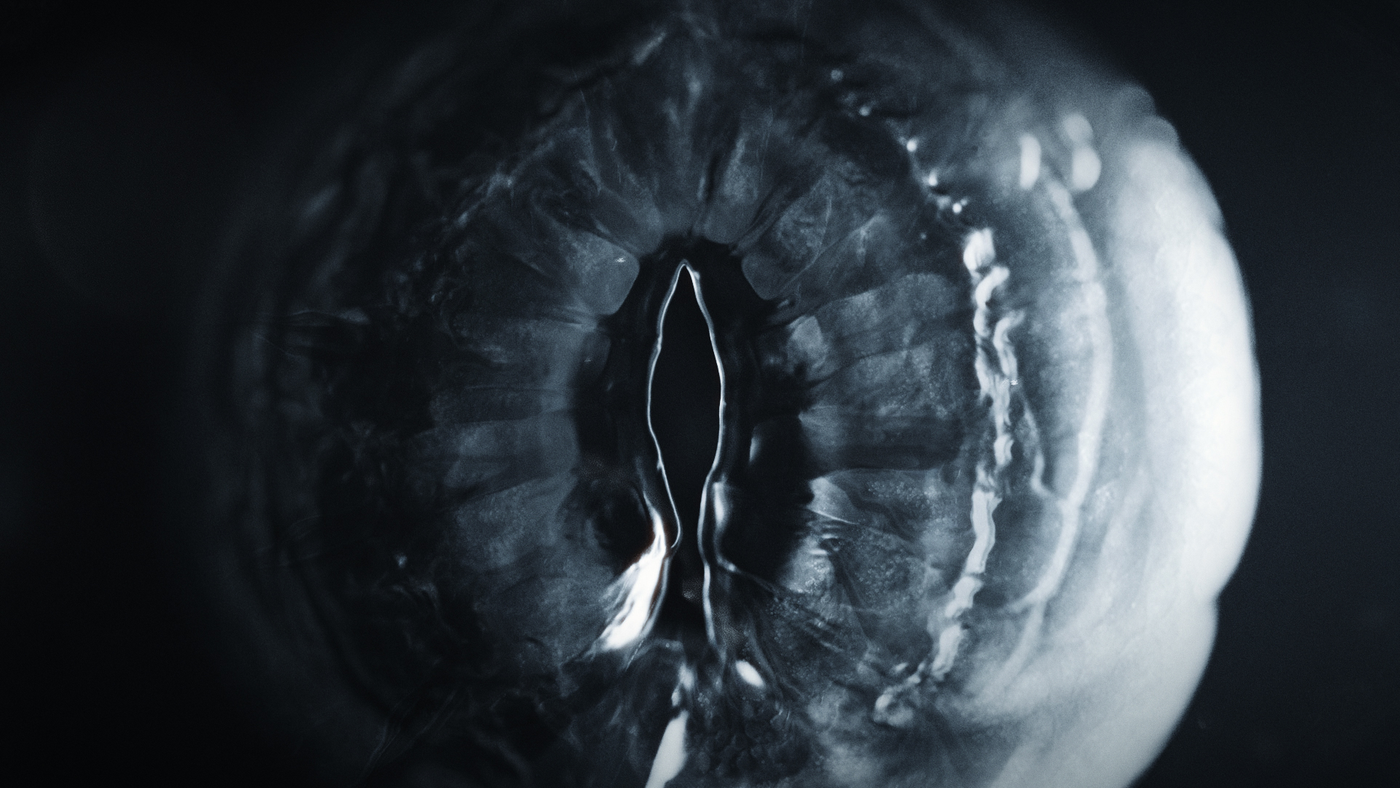 FX Alien: Earth, image 29