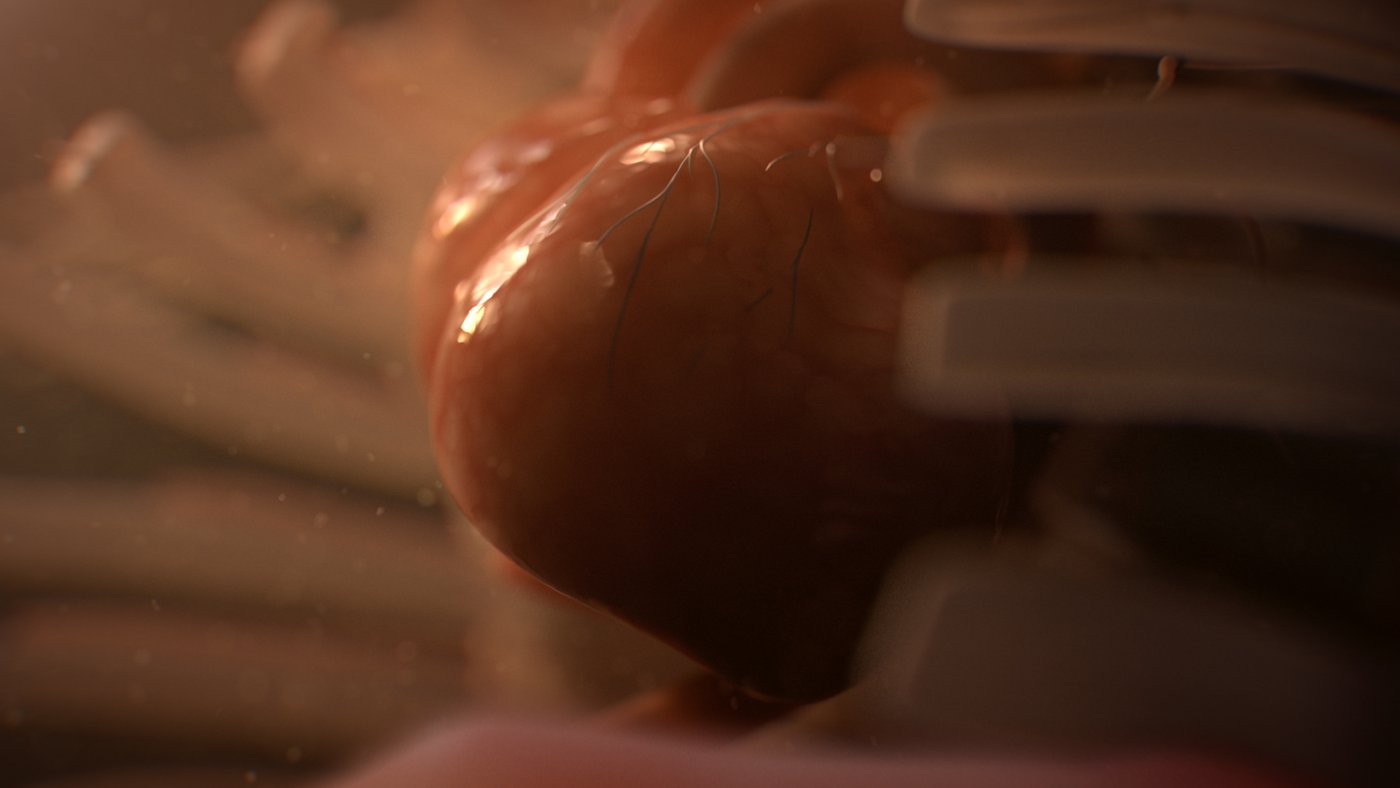 TEDx Sydney 2019 - Main Titles, image 56