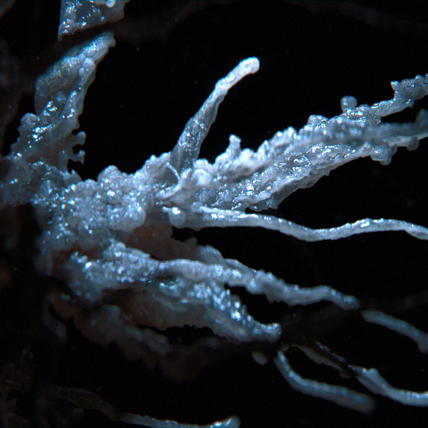 FX Alien: Earth, image 5