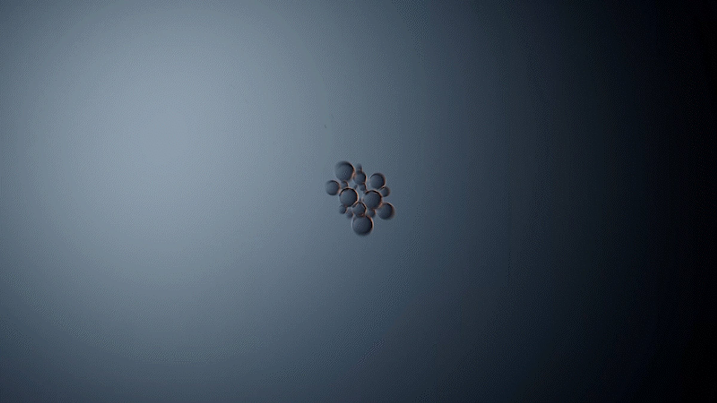 L'Oréal - Elvive Growth Booster, image 4