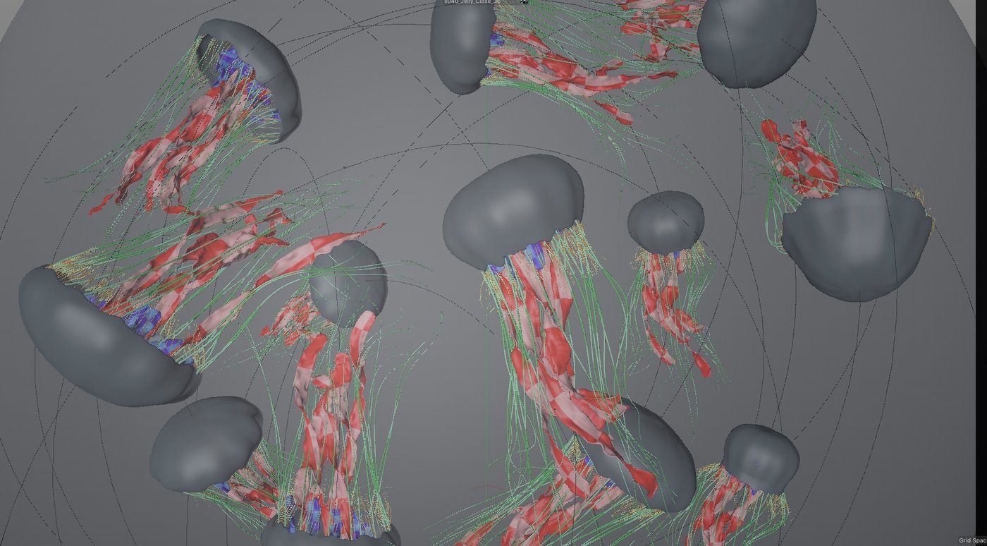 TEDx Sydney 2019 - Main Titles, image 67
