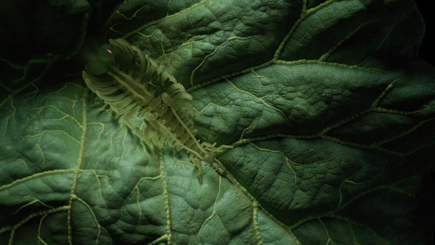FX Alien: Earth, image 12