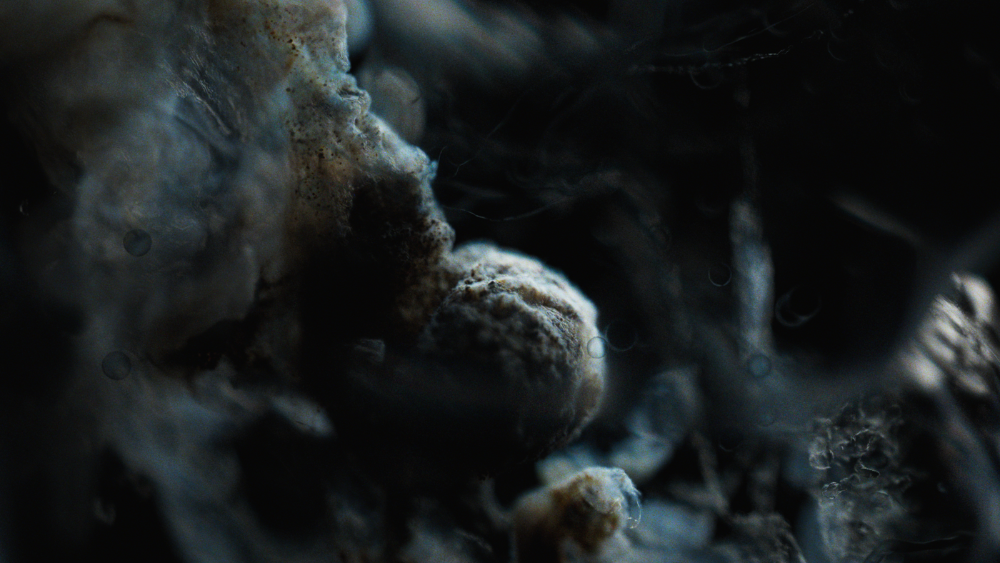 FX Alien: Earth, image 36