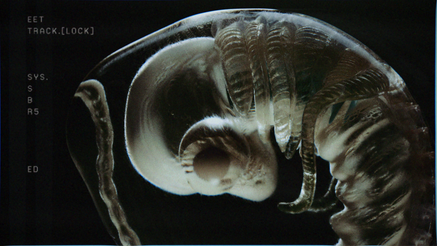 FX Alien: Earth, image 28