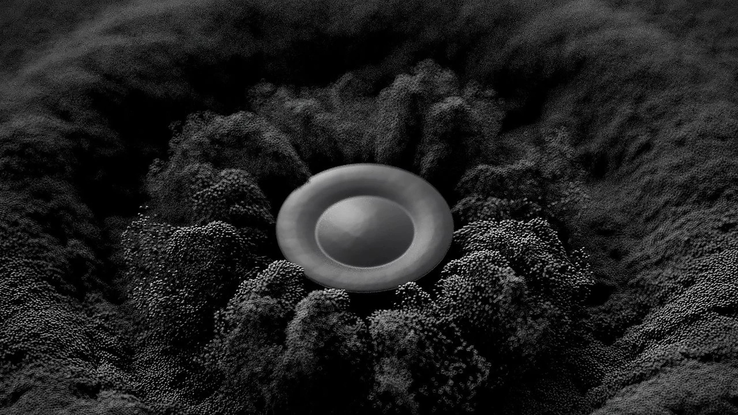 WaveSound, image 16
