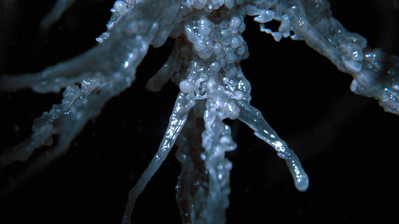 FX Alien: Earth, image 4
