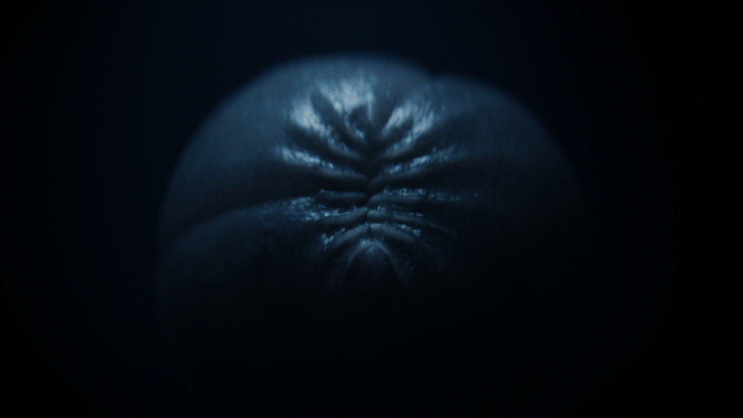 FX Alien: Earth, image 3
