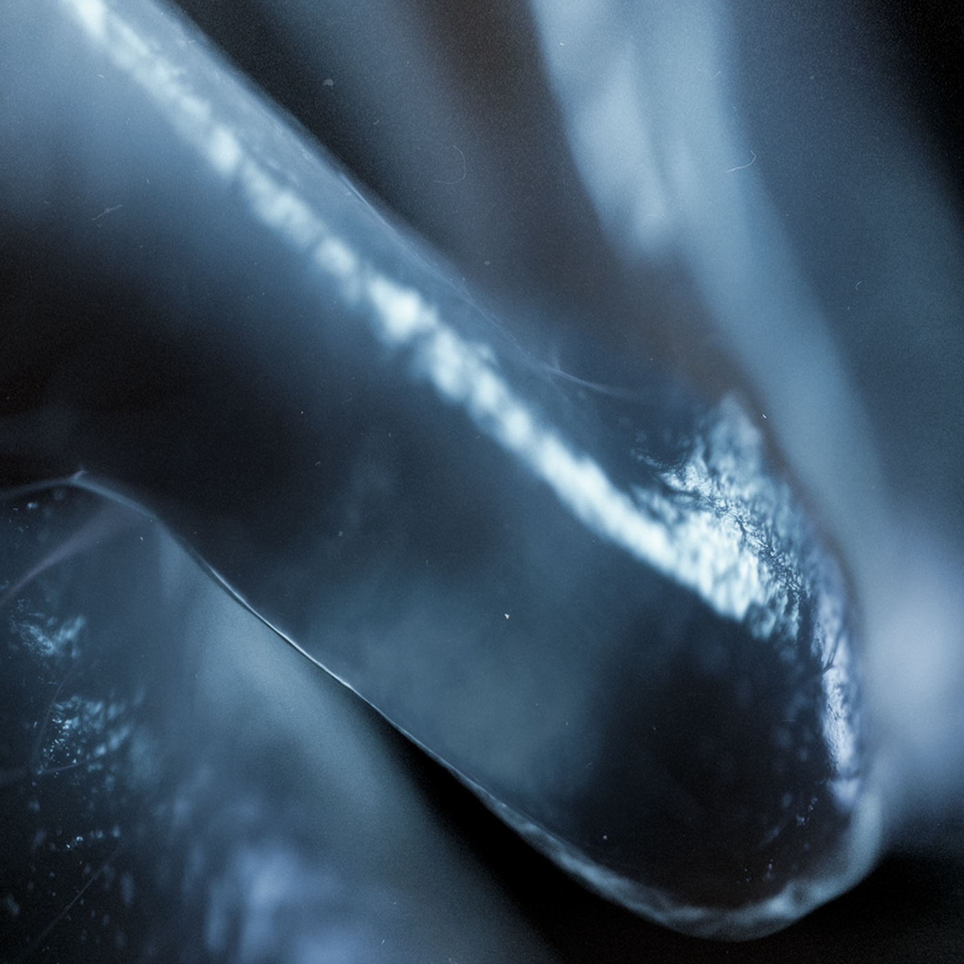 FX Alien: Earth, image 25