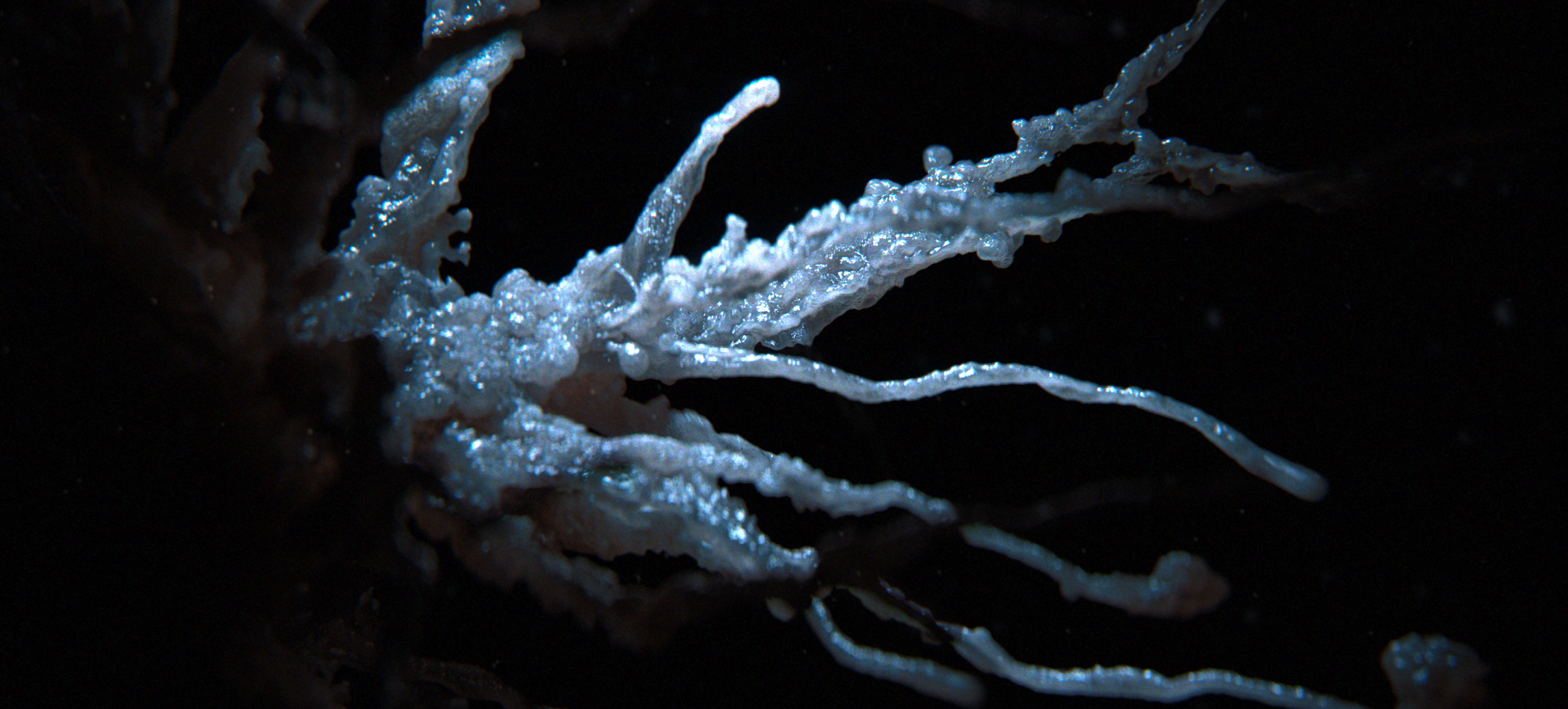 FX Alien: Earth, image 1