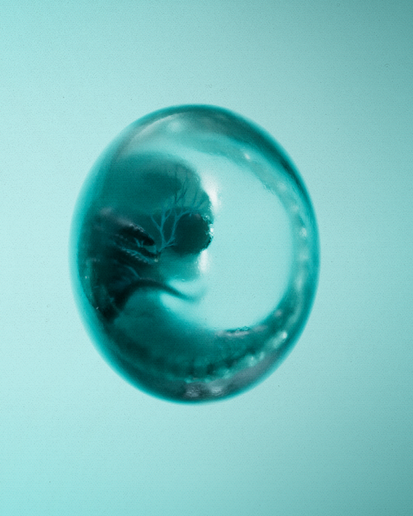 FX Alien: Earth, image 19