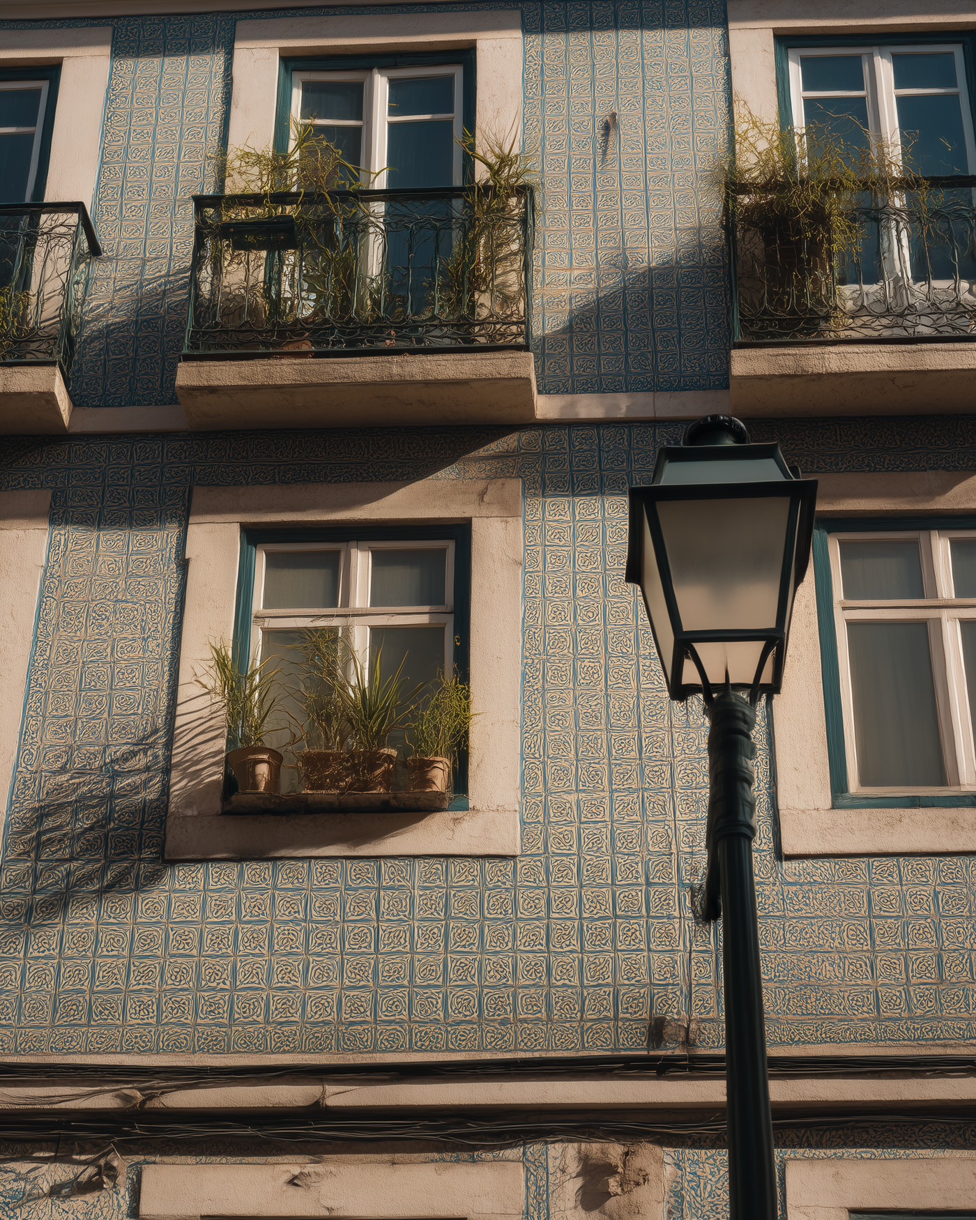 Behind Casa Lumen